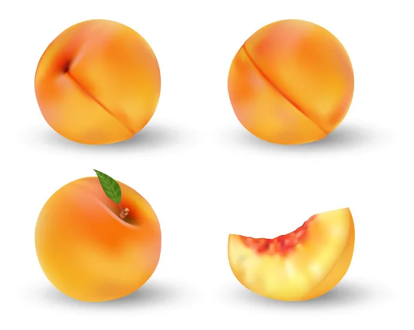 Fruta de melocotón madura realista aislada en blanco. Entero y cortado en medio melocotón naranja con semilla y hoja verde. Ilustración vectorial. — Vector de stock