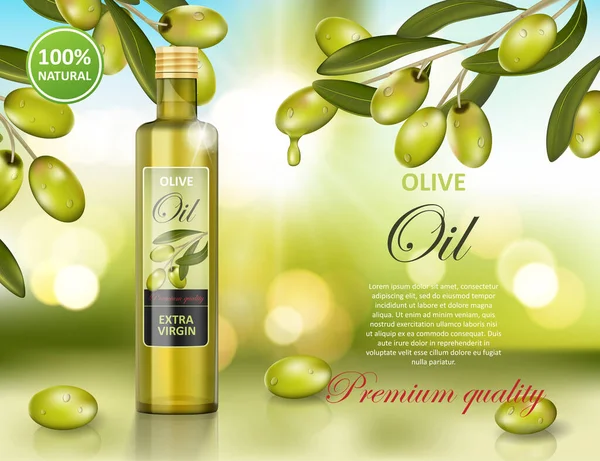 Olive oil bottle design on green shiny background. Transparent glass olive oil ad, package design. Vector 3d illustration — Stock Vector