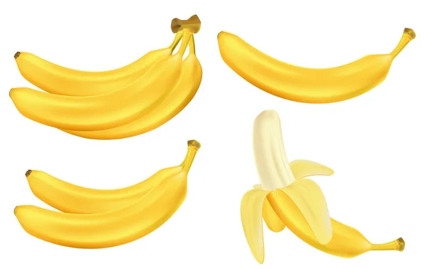 Conjunto realista de plátanos aislados en blanco. Manojos de frutas frescas de plátano amarillo. Ilustración vectorial de frutas tropicales — Vector de stock