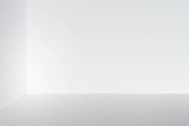 Beyaz köşe. Oda ya da stüdyo