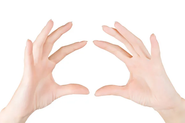 Женские Руки Показывают Держат Невидимое Изолированный Белом Вырезанным Дорожкой — стоковое фото