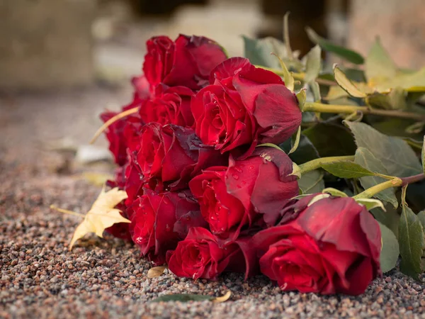 Red Roses Ground Selective Focus Mourning Memorial Theme — Stock Photo, Image