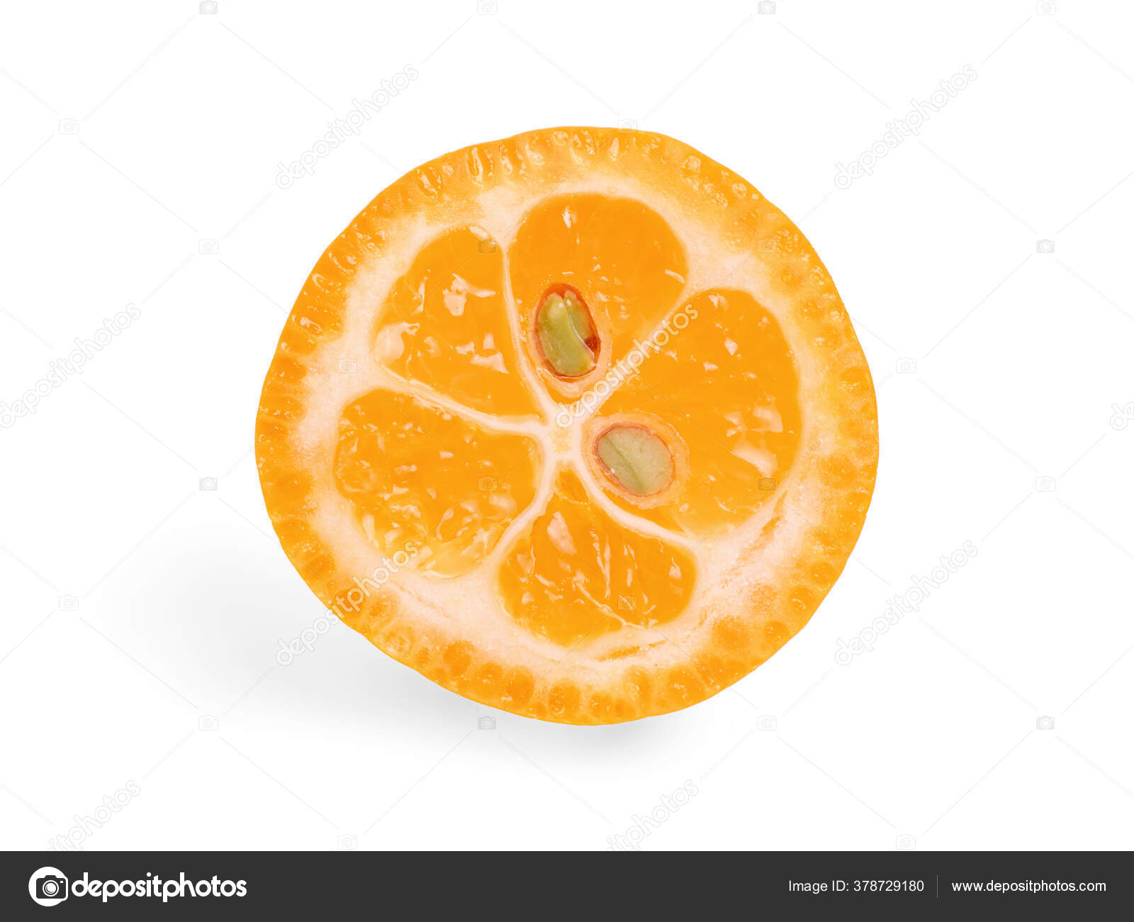 45 Cumquat-stockillustrasjoner | DepositPhotos, image size:1600x1300