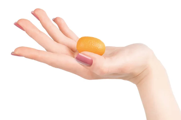 Mano Mujer Con Esmalte Uñas Púrpura Sosteniendo Pequeño Kumquat Naranja — Foto de Stock