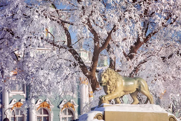 Saint-Petersburg, Rusya 'da kış manzarası. Kar ve Hermitage müzesine karşı aslan heykeli