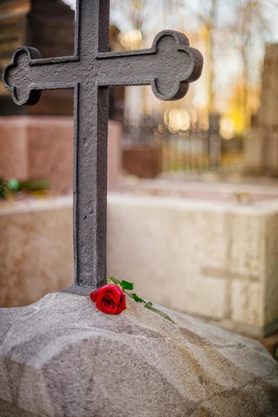 Rose Ancient Tombstone Graveyard Landscape Selective Focus — Stock Photo, Image