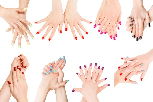 Woman hands with different nail polish collection. Isolated on white, clipping path included