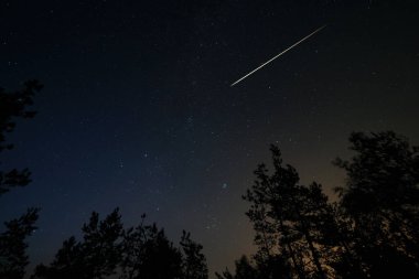 Yıldızlı gökyüzü ve ormanın üzerinde göktaşı izi olan bir gece sahnesi. Uzun pozlama çekimi