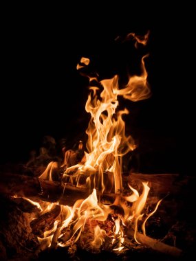 Geceleri kamp ateşi. Karanlıktaki orman kampında parlak bir ateş.