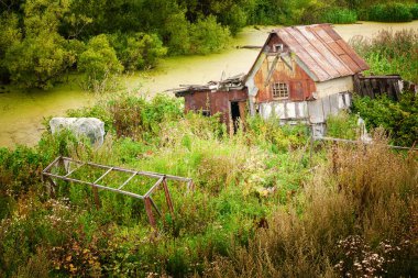 Terk edilmiş orman kulübesi Parlak cennet manzarasına karşı