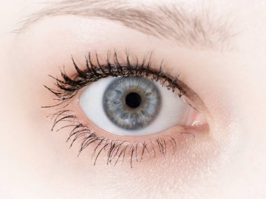 Gri kadın gözü yakın çekim. Kameraya bakıyorum.