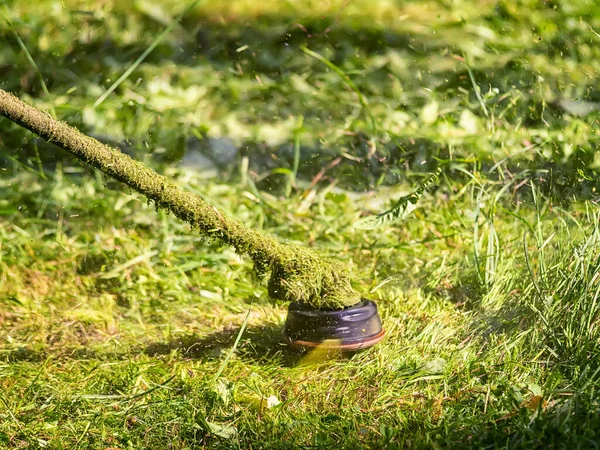 Nůžky Trávu Práci Zblízka Brushcutter Čepele Létající Trávou Kolem — Stock fotografie