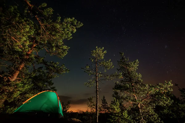 Night scene with illuminated camping tent, forest and starry sky. Long exposure