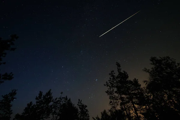 Scena Nocna Gwiaździstym Niebem Meteorytowym Szlakiem Nad Lasem Długa Sesja — Zdjęcie stockowe