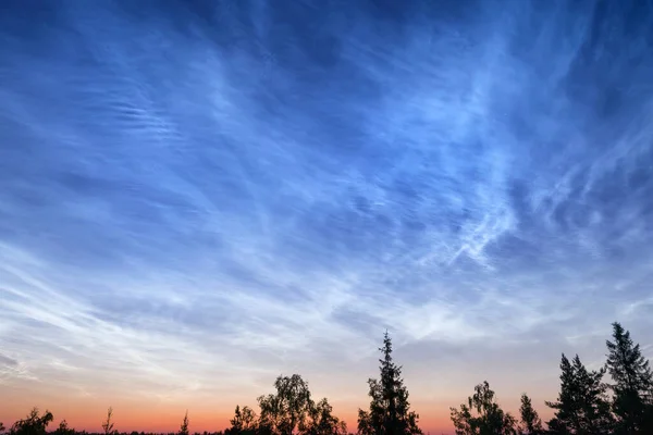 Ormanın Derinliklerinde Gece Bulutlu Gökyüzü Gün Batımında Soyut Bir Açık — Stok fotoğraf