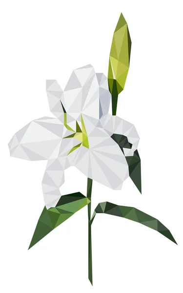 Πολύχρωμο Πολυγωνικό Στυλ Σχεδιασμός Λευκό Κρίνο — Διανυσματικό Αρχείο