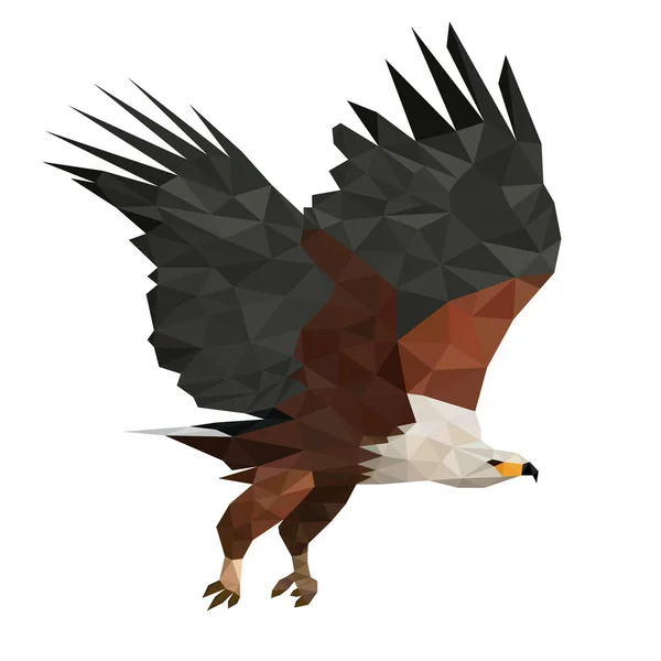 Estilo Forma Águila Salvaje — Vector de stock