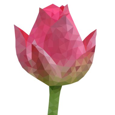 Güzel kırmızı vektör çokgen gül