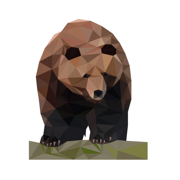 Χαμηλή Πολυ Άγριο Διάνυσμα Αρκούδα — Διανυσματικό Αρχείο