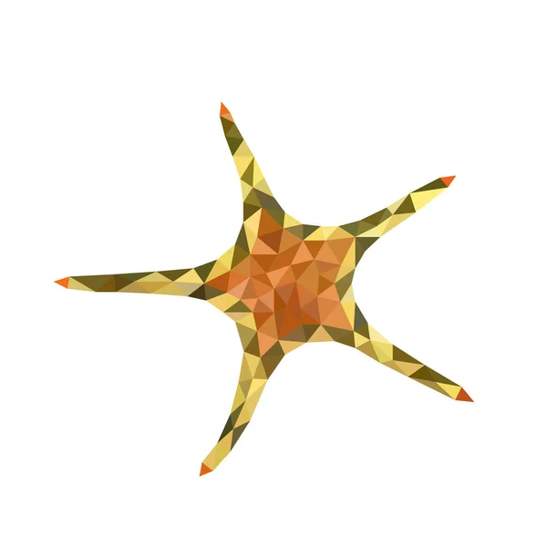 Oranje Groene Lage Veelhoek Zee Starfish — Stockvector
