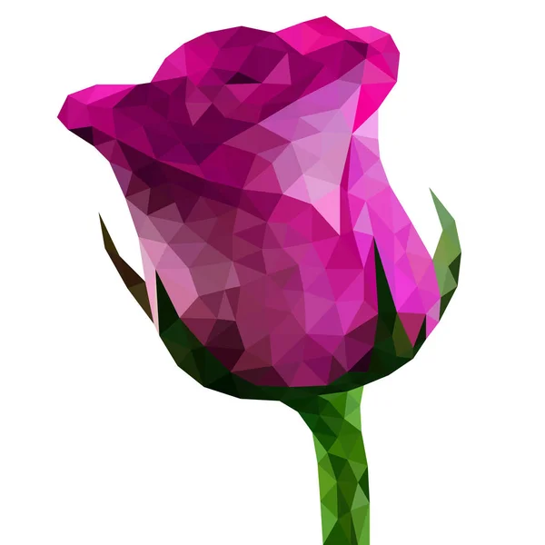 Hermosa Rosa Rosa Vector Púrpura Polígono — Vector de stock