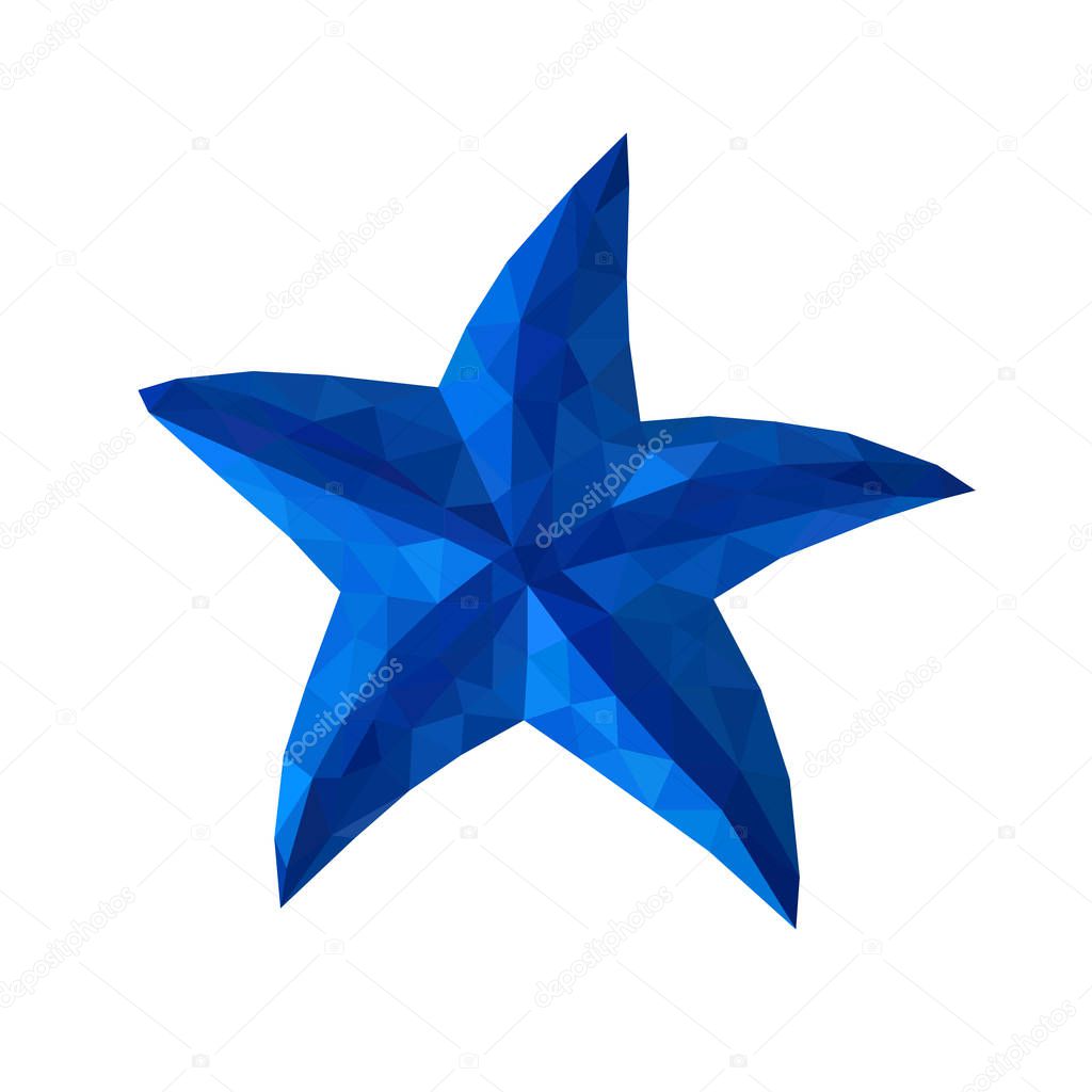 Blue polygon vector starfish animal
