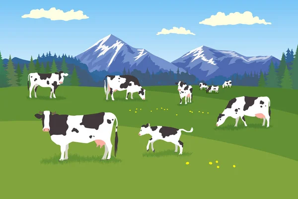 Landscape with forest, meadow, mountains and pasturing herb of cows in various poses (Horizontal landscape with blue, green beautiful natural view of serenely grazing cows) — Stock Illustration Landscape Forest Meadow Mountains Pasturing Herb Cows Various Poses Horizontal Royalty Free Stock Vectors