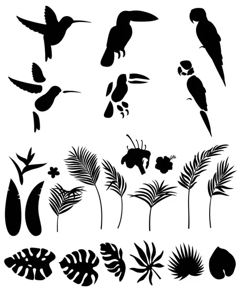 ヤシの葉と他の熱帯植物と花やアニメーションのための白い背景に分離された熱帯鳥のシルエットのセット — ストックベクタ