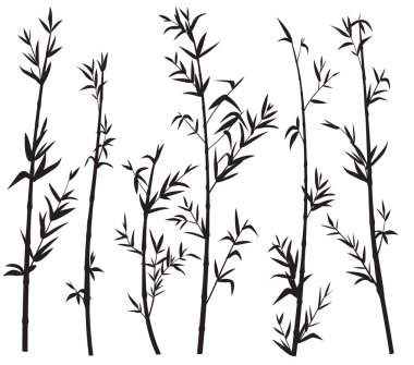 Beyaz arka planda izole edilmiş bambu ormanının silueti.