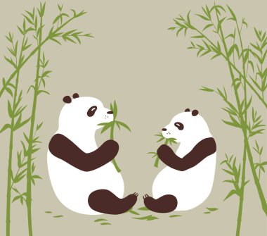 Bambu ormanında iki panda bambu yer.