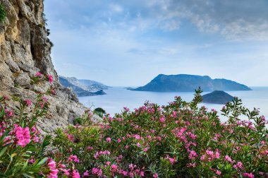 Romantik seyahat yeri. Yunanistan 'ın Kalymnos Adası' nda bahar çiçekleri, manzaralı turistik köy manzarası.