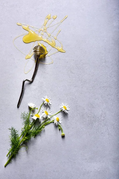 Organik Çayır Bal Ayı Gri Masa Üstü Üzerinde Papatya Çiçeği — Stok fotoğraf
