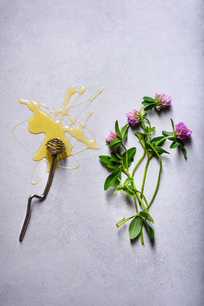 Méz Méz Göncöl Lóhere Virág Konkrét Háttér Méhészeti Termékek Szerves — Stock Fotó