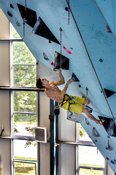 Escalada Gimnasio Entrenamiento Deportivo Atleta Una Pared Escalada Deportes Interior —  Fotos de Stock