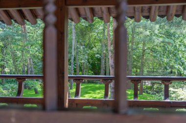 Bir ahşap korkuluk huzurlu bir ormanın manzarasını çerçeveler. Güneş ışığı uzun ağaçların ve yeşil çimenlerin arasından süzülür..