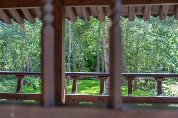 Bir ahşap korkuluk huzurlu bir ormanın manzarasını çerçeveler. Güneş ışığı uzun ağaçların ve yeşil çimenlerin arasından süzülür..