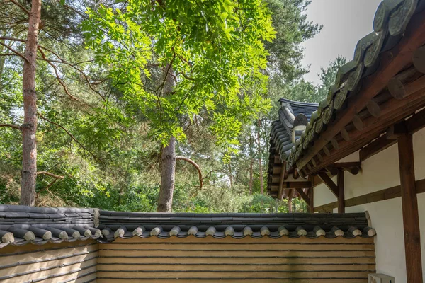 Geleneksel fayanslı çatı ahşap ve kil bir duvarın üzerinde yükselir. Parlak yeşil yapraklar ve çam ağaçları sahneyi tamamlıyor.