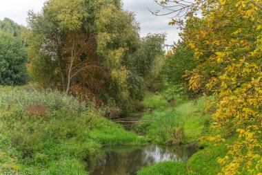 Yeşil ağaçlı küçük bir dere. Dar bir dere yemyeşil ve renkli ağaçların arasından akar. Suda yansımaları olan doğal bir cennet..