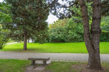 Asfaltlı bir patika boyunca ağaçların altında duran bir park bankı. Sahne huzur verir ve sizi oyalamaya davet eder..