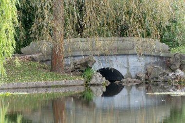 Stone Bridge over pond. A stone bridge arches over a calm pond, framed by willow branches. The reflection in the water creates a peaceful scene.