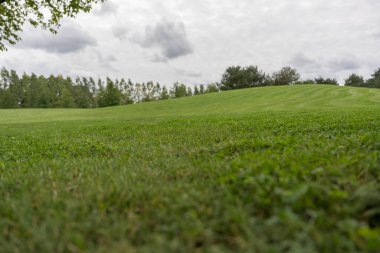 Tepe zemin kattan görünüyor, çimenler keskin detaylarıyla. Yokuş ve ağaçlar yavaşça yükseliyor..