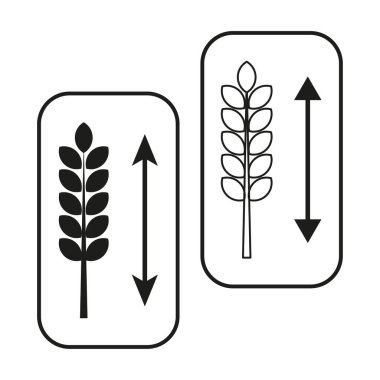 Buğday kulak büyümesi. Çiftçilik ölçeği çizimi. Tarım sektörü konsepti. Vektör gıda sembolü. EPS 10.