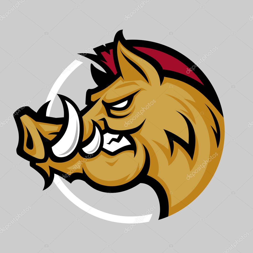 Wild hog or boar head mascot, colored version. Great for sports logos & team mascots.