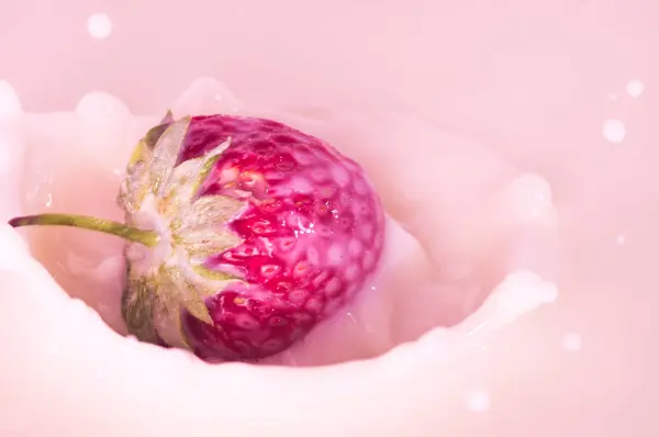 pure falling strawberry into milk with splash
