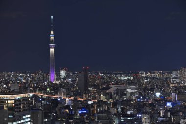 Shangri-La hotel Tokyo Tokyo gökyüzü ağaçtan