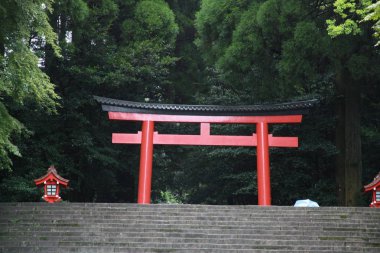 Torii Kirishima-Jingnin yağmurda