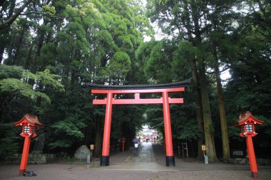Torii Kirishima-Jingnin yağmurda
