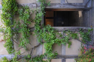 Shakespeare Doğum Yeri, Büyük Britanya