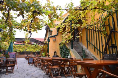 Alfresco Cafe, Mayer Pfarrplatz, Viyana, Avusturya