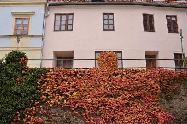 町の家のサイドショット クレムス ウィーン オーストリア — ストック写真